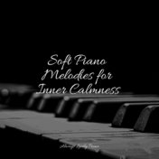 Soft Piano Melodies for Inner Calmness
