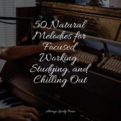 50 Natural Melodies for Focused Working, Studying, and Chilling Out