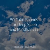 50 Calm Sounds for Deep Sleep and Mindfulness