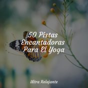 50 Pistas Encantadoras Para El Yoga