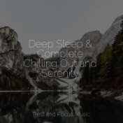 Deep Sleep & Complete Chilling Out and Serenity