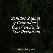 Sonidos Suaves y Calmados | Experiencia de Spa Definitiva