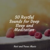 50 Restful Sounds for Deep Sleep and Meditation
