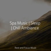 Spa Music | Sleep | Chill Ambience