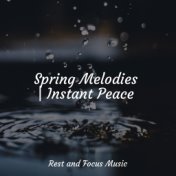 Spring Melodies | Instant Peace