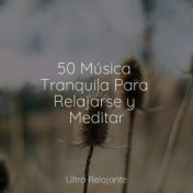 50 Música Tranquila Para Relajarse y Meditar