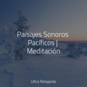 Paisajes Sonoros Pacíficos | Meditación