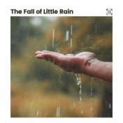 The Fall of Little Rain