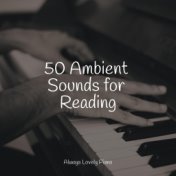 50 Ambient Sounds for Reading