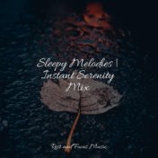 Sleepy Melodies | Instant Serenity Mix