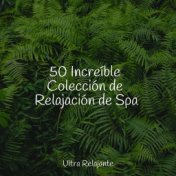 50 Increíble Colección de Relajación de Spa