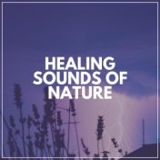 Healing Sounds of Nature