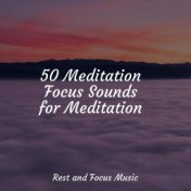 50 Meditation Focus Sounds for Meditation