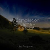 50 Compilación de Calma y Relajación