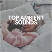 Top Ambient Sounds