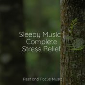 Sleepy Music | Complete Stress Relief
