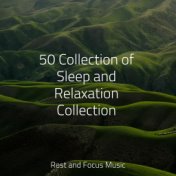 50 Collection of Sleep and Relaxation Collection