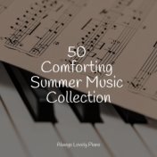 50 Comforting Summer Music Collection