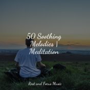 50 Soothing Melodies | Meditation