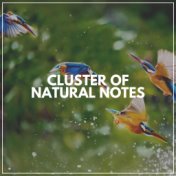 Cluster of Natural Notes