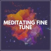 Meditating Fine Tune