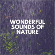 Wonderful Sounds of Nature