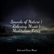 Sounds of Nature | Relaxing Music | Meditation Focus