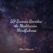 50 Buenos Sonidos de Meditación Mindfulness