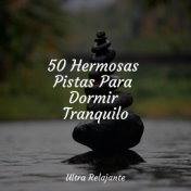 50 Hermosas Pistas Para Dormir Tranquilo