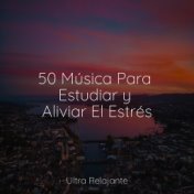 50 Música Para Estudiar y Aliviar El Estrés