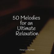 50 Melodies for an Ultimate Relaxation