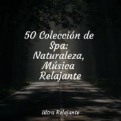 50 Colección de Spa: Naturaleza, Música Relajante