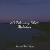 50 February Sleep Melodies