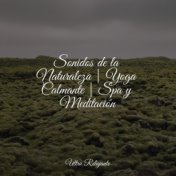 Sonidos de la Naturaleza | Yoga Calmante | Spa y Meditación
