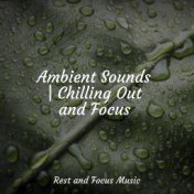 Ambient Sounds | Chilling Out and Focus