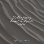 50 Comforting Sounds for Spa & Calm