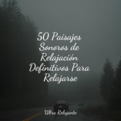 50 Paisajes Sonoros de Relajación Definitivos Para Relajarse