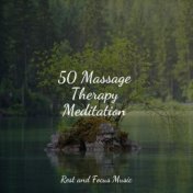 50 Massage Therapy Meditation