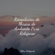 Recopilación de Música de Ambiente Para Relajarse