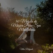 50 Mezcla de Música Para Spa Mindfulness