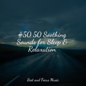 #50 50 Soothing Sounds for Sleep & Relaxation