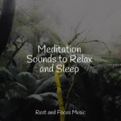 Meditation Sounds to Relax and Sleep