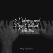50 Calming and Deep Chillout Collection