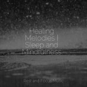 Healing Melodies | Sleep and Mindfulness