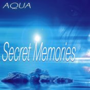 Secret Memories