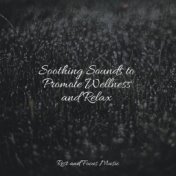 Soothing Sounds to Promote Wellness and Relax