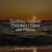 Soothing Ambient Melodies | Sleep and Pilates