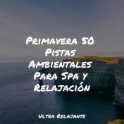 Primavera 50 Pistas Ambientales Para Spa y Relajación