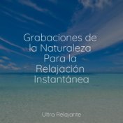 Grabaciones de la Naturaleza Para la Relajación Instantánea