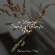 50 Beautiful Sounds of Nature for Yoga